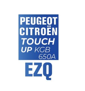 PEUGEOT CITROEN EZQ