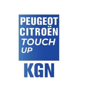 PEUGEOT CITROEN KGN