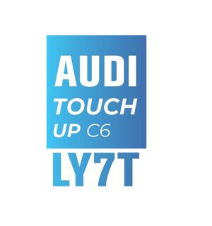 AUDI Y7T