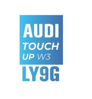 AUDI Y9G