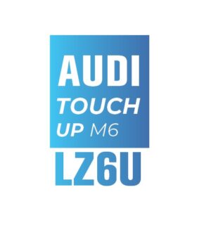 AUDI Z6U