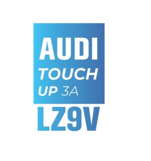 AUDI Z9V