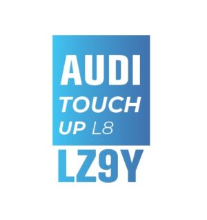 AUDI Z9Y